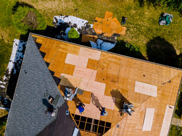 Best Local Roofing Companies  in Appomattox, VA