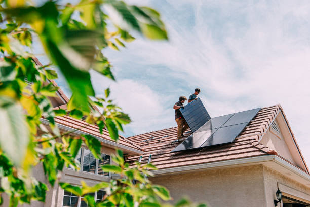 Best Roof Gutter Cleaning  in Appomattox, VA