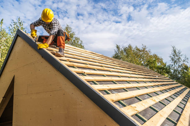 Roof Gutter Cleaning in Appomattox, VA