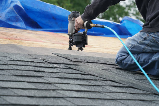 Best Roof Repair Services  in Appomattox, VA
