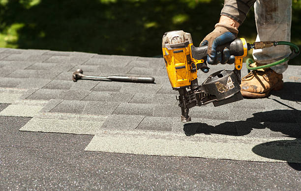 Best Roof Leak Repair  in Appomattox, VA